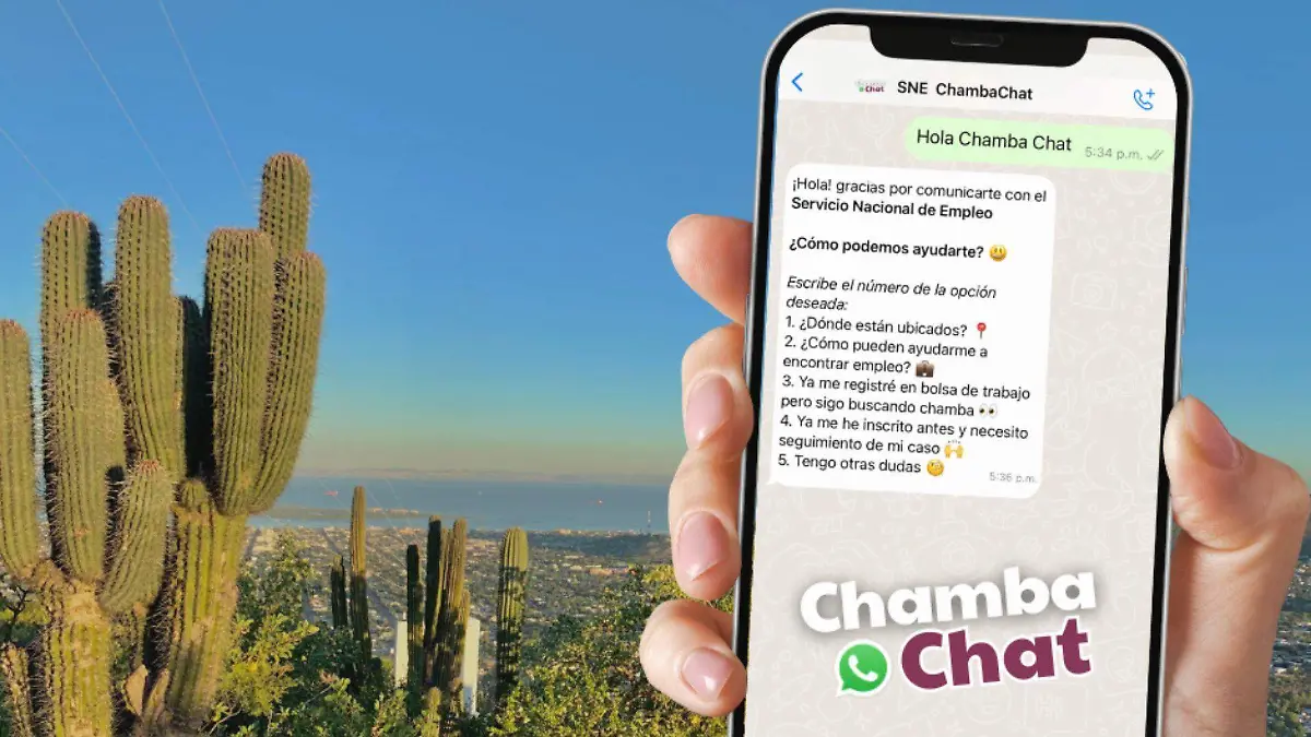 Chambachat empleo